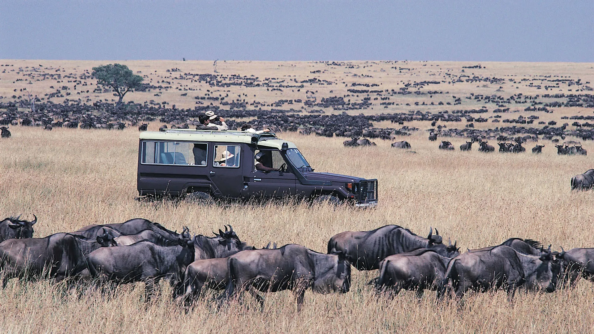 Maasai Mara 2