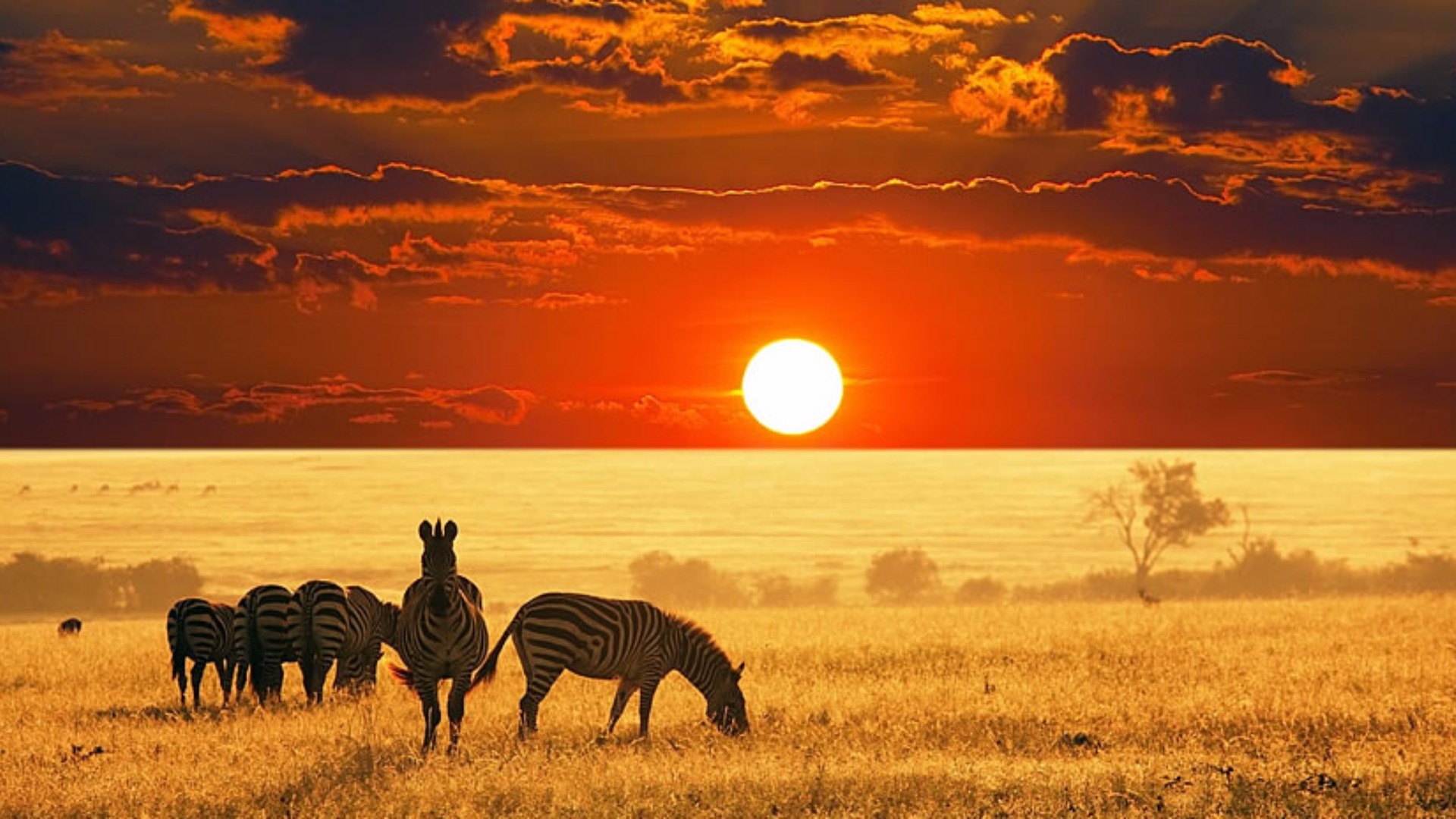 Amazing Destinations