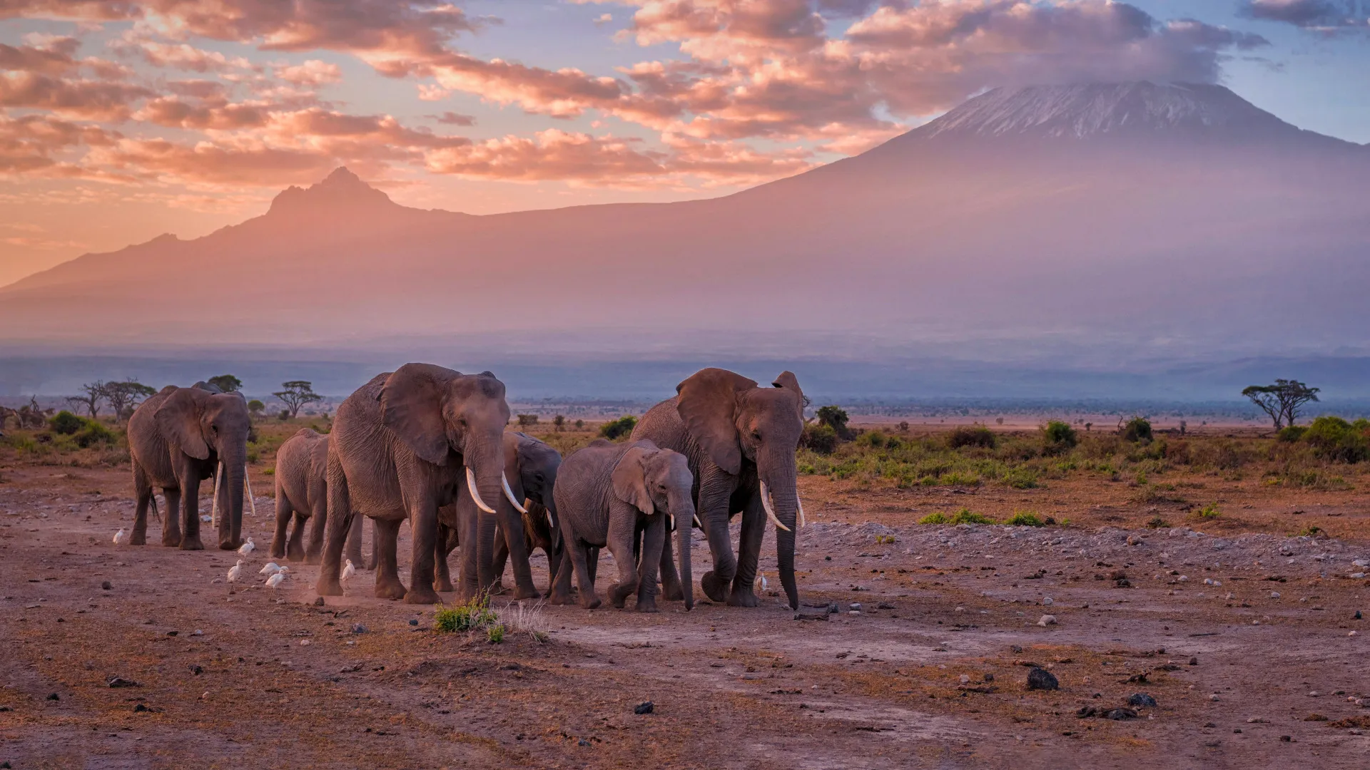 Tsavo West