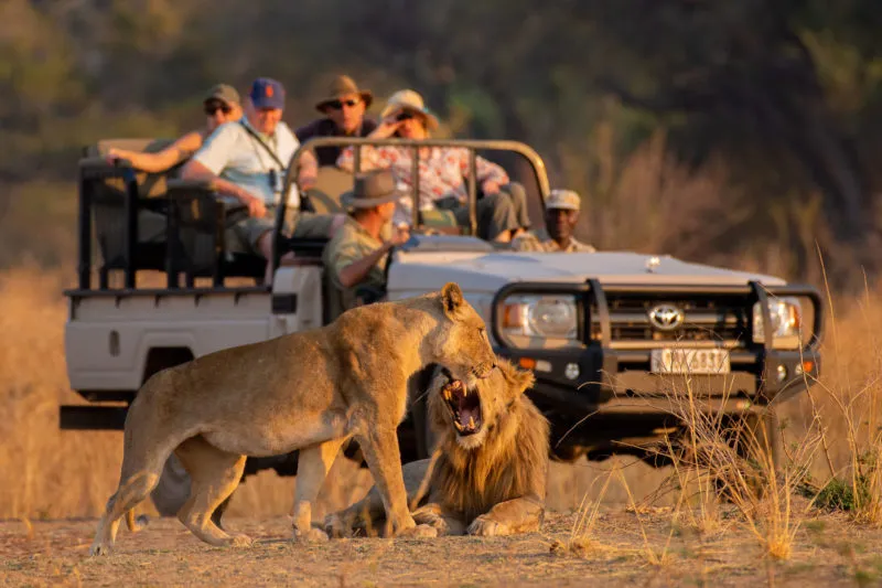 Maasai Mara 1