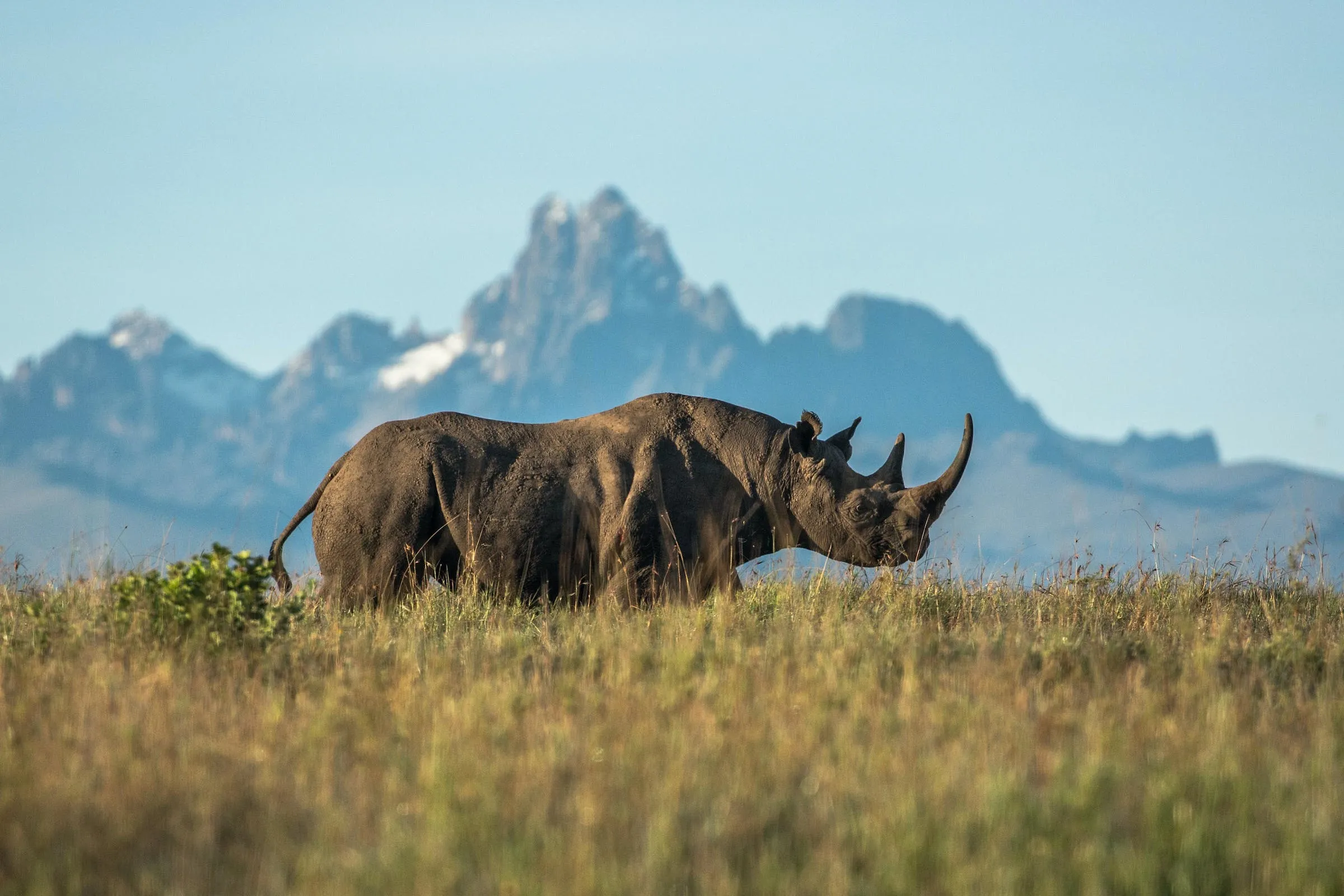Tsavo West 1