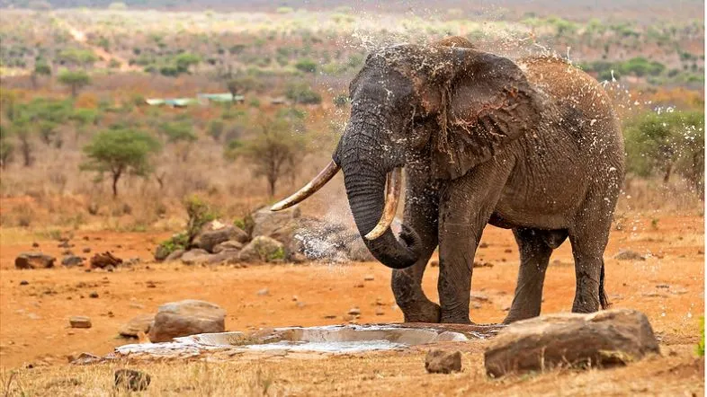 Tsavo West 2