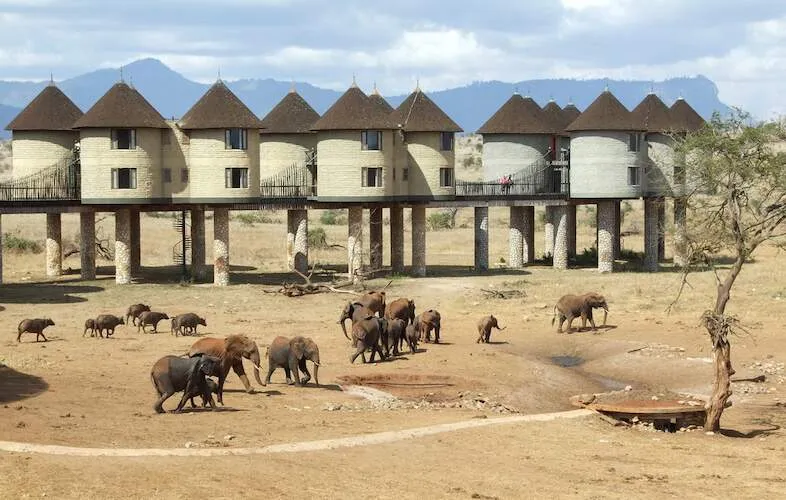 Tsavo West 3