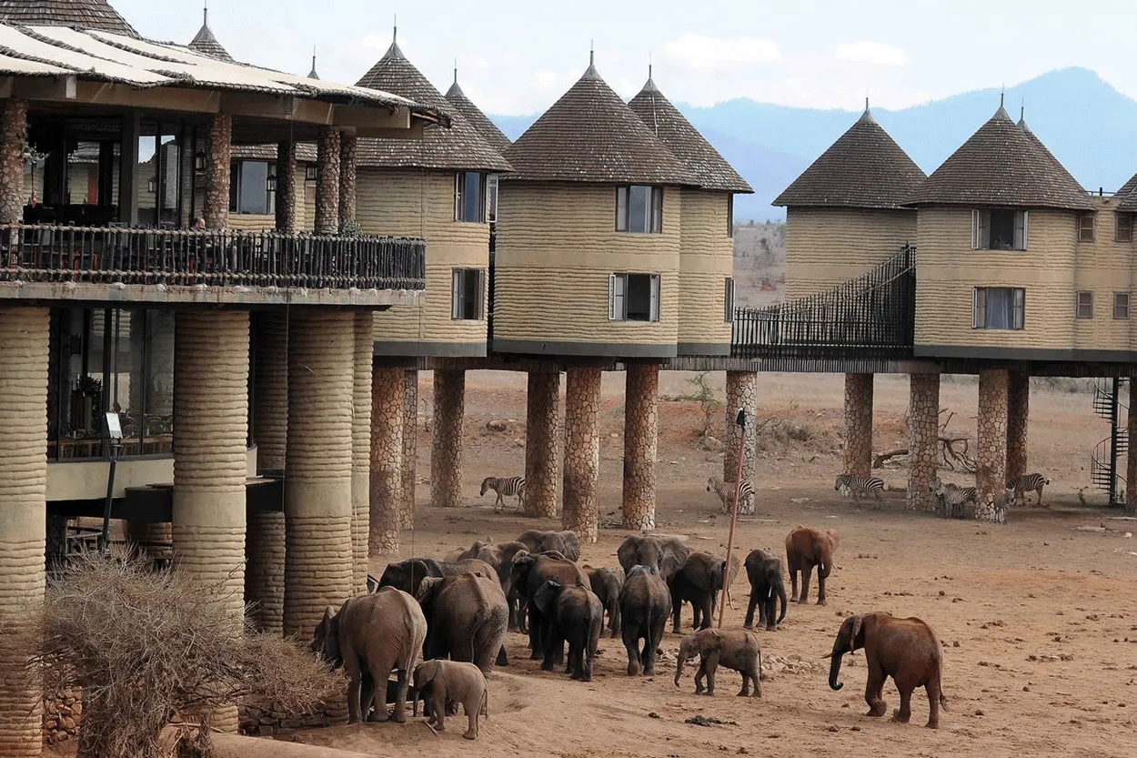 Tsavo West 3